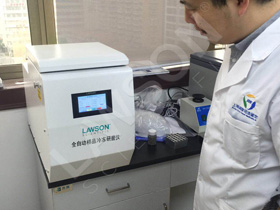 �Ϻ�����˾���b����-ë�l��ĥ�b����Ʒ-���һ�w��ĥ�xDHFSTPRP-CL24